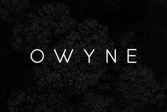 How Owyne Elevates Brand Identity for Modern Businesses
